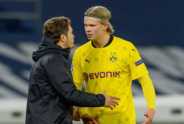 的粉丝结构 的粉丝结构